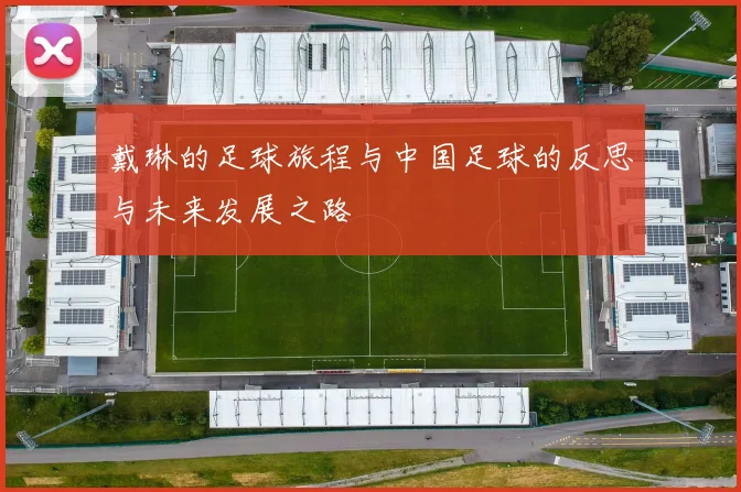 戴琳的足球旅程与中国足球的反思与未来发展之路