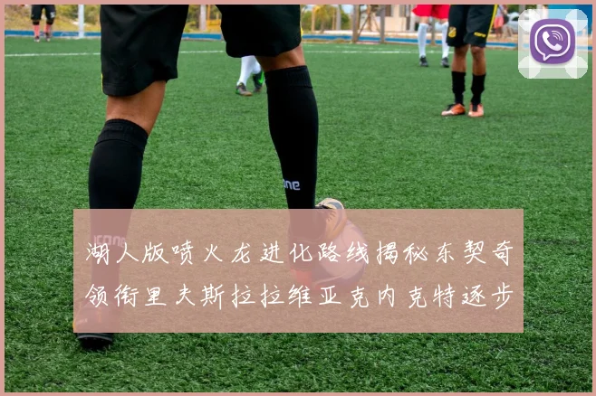 湖人版喷火龙进化路线揭秘东契奇领衔里夫斯拉拉维亚克内克特逐步崛起