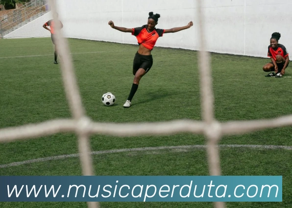 奖项证书