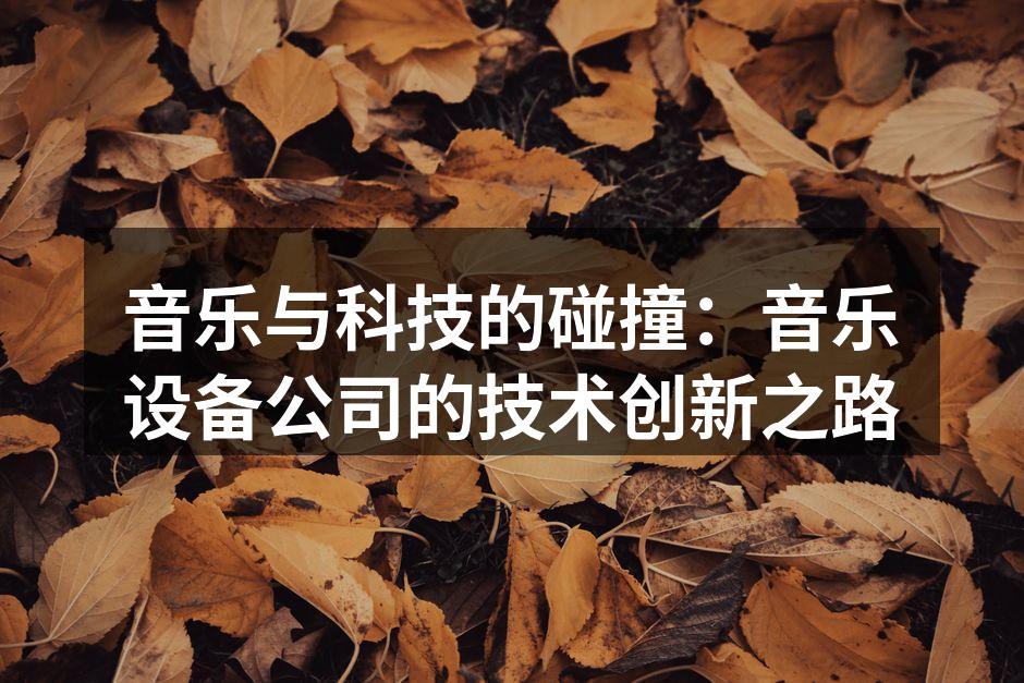 先进的智能音响设备